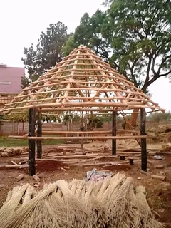 Thatch grass for sale