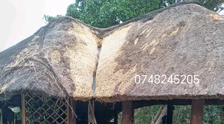 Thatch grass for sale and repairs