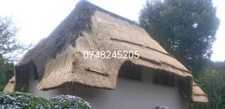 Thatch grass for sale and repairs