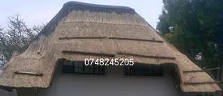 Thatch grass for sale and repairs