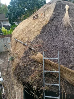 Thatch grass for sale and repairs