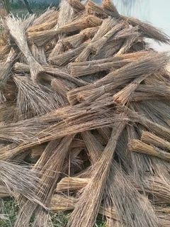 Thatch grass for sale and repairs