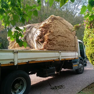 Thatch grass for sale and repairs