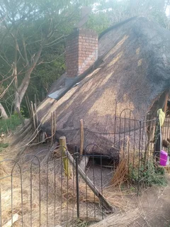 Thatch grass for sale and repairs