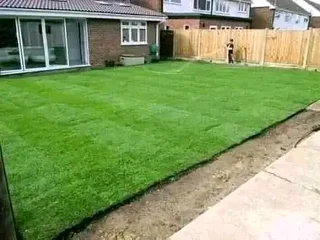 Grass for sale