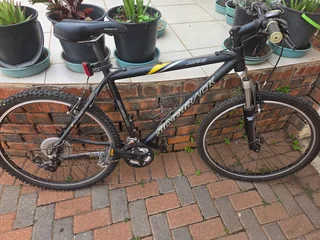 Alpine Silverback Mountain Bike