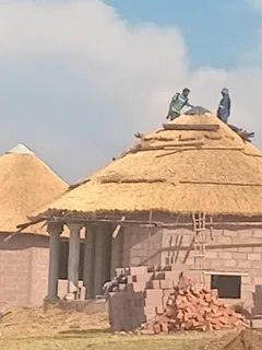 Thatch Roofs and Repairs 0737322227