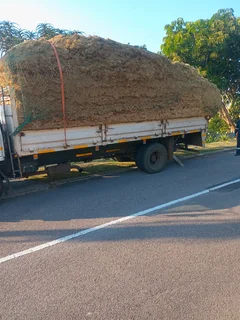 The Thatch Experts KZN 0739930111