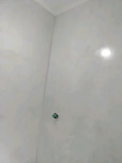 Painter&#39;s&#39;s are available