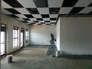 Ceiling and painting master