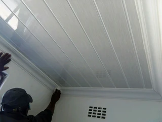 Roofing and ceiling