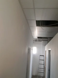 Roofing and ceiling