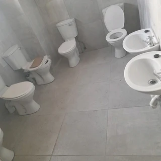 Carpenter &amp;bricklayer