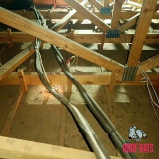 Carpenter&#39;s are available