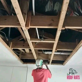 Carpenter&#39;s are available