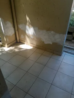 BRIAN &amp; T.R PAINTERS