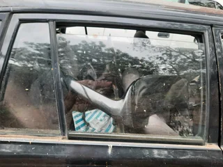 Tazz/Conquest Windows