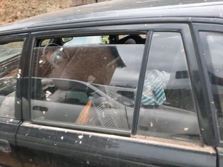 Tazz/Conquest Windows