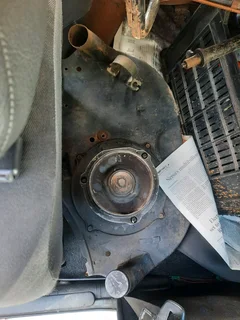 Beetle Alternator
