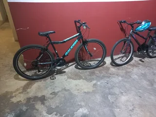 Raleigh and Montera bike×2