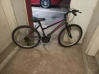 Raleigh and Montera bike×2