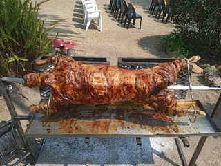 Indian Cuisine, Spit braai and traditional braai catering