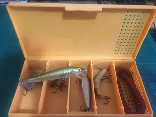 Fishing rods, reels, lures and line