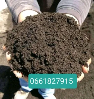 BUFFALO# KIKUYU# CYNODONE# GULF GREEN# LM BEREA# LAWN DRESSING# SUPPLY AND INSTALLATION