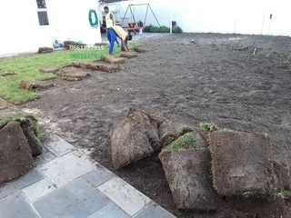 BUFFALO# KIKUYU# CYNODONE# GULF GREEN# LM BEREA# LAWN DRESSING# SUPPLY AND INSTALLATION