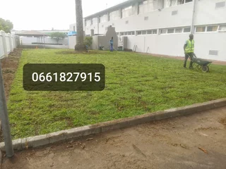 BUFFALO# KIKUYU# CYNODONE# GULF GREEN# LM BEREA# LAWN DRESSING# SUPPLY AND INSTALLATION