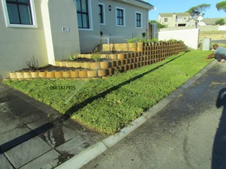 Buffalo# Kikuyu# Cynodone# Gulf Green# Lm Berea# Lawn Dressing# Supply And Installation