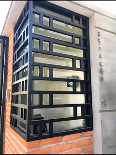 Security Gate/Burglar Door