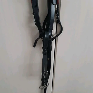 Waldhausen breastplate and martingale