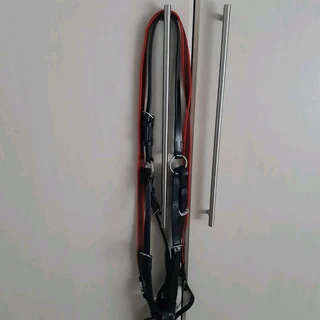 Waldhausen breastplate and martingale