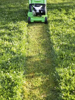 Garden and Landscaping