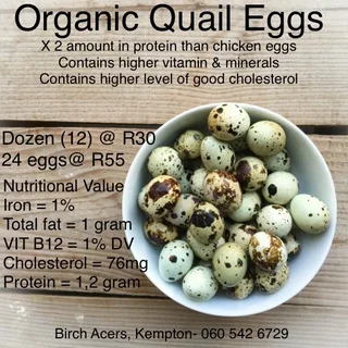 Organic Quail Eggs