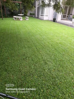 Looking for job as garden boy or a house keeper