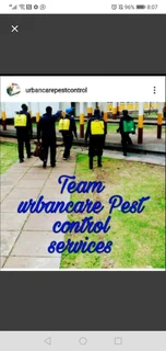 Am looking for work  Pest control .IT Cert or Partner in business