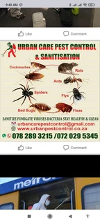 Am looking for work  Pest control .IT Cert or Partner in business