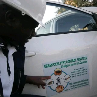Pest Control Fumigation &amp; Handyman Services