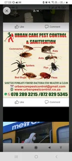 Pest Control Fumigation &amp; Handyman Services