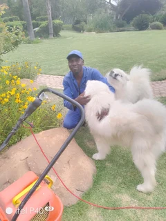 VAST EXPERIENCED GARDENER URGENTRY NEED AJOB.