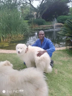 VAST EXPERIENCED GARDENER URGENTRY NEED AJOB.