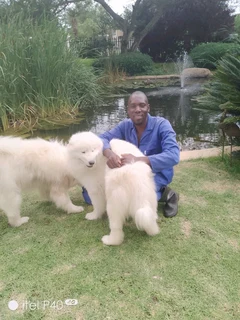 Vast Experienced Gardener Urgentry Need Ajob.