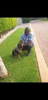 EXPERIENCED GARDENER URGENTLY NEED AJOB