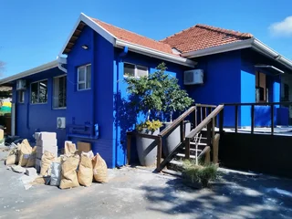 Painting and Renovation