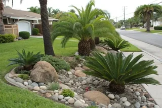 we offer landscaping design trees felling cladding install and supply steppingstones and project