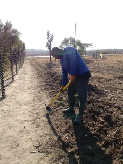 Hardworking  Malawian  Gardener.... 081 026 8587