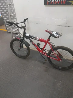 Raleigh bicycle 115Jan25