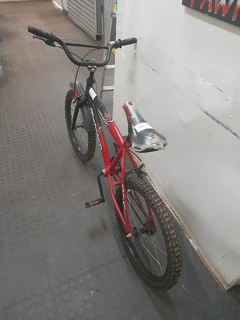 Raleigh bicycle 115Jan25